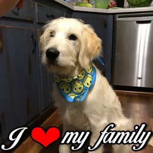 Meet your Posher, Kelly